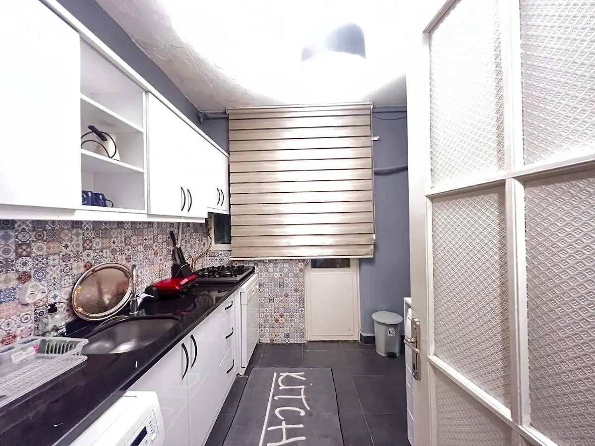 Two Flats With 6Br, 4Ba Appartement Istanboel Turkije